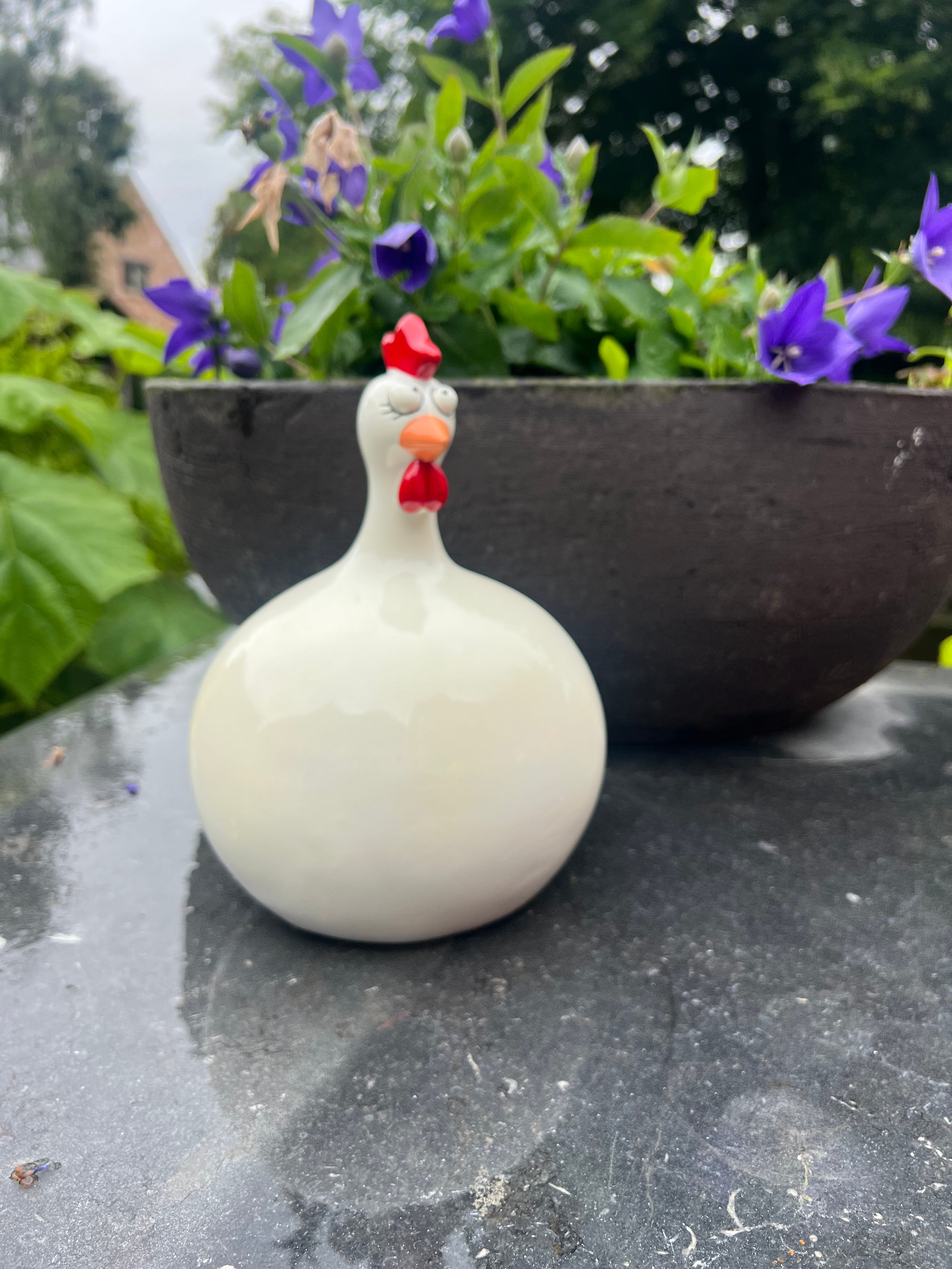 Kip wit 17 x 16 x 23 cm