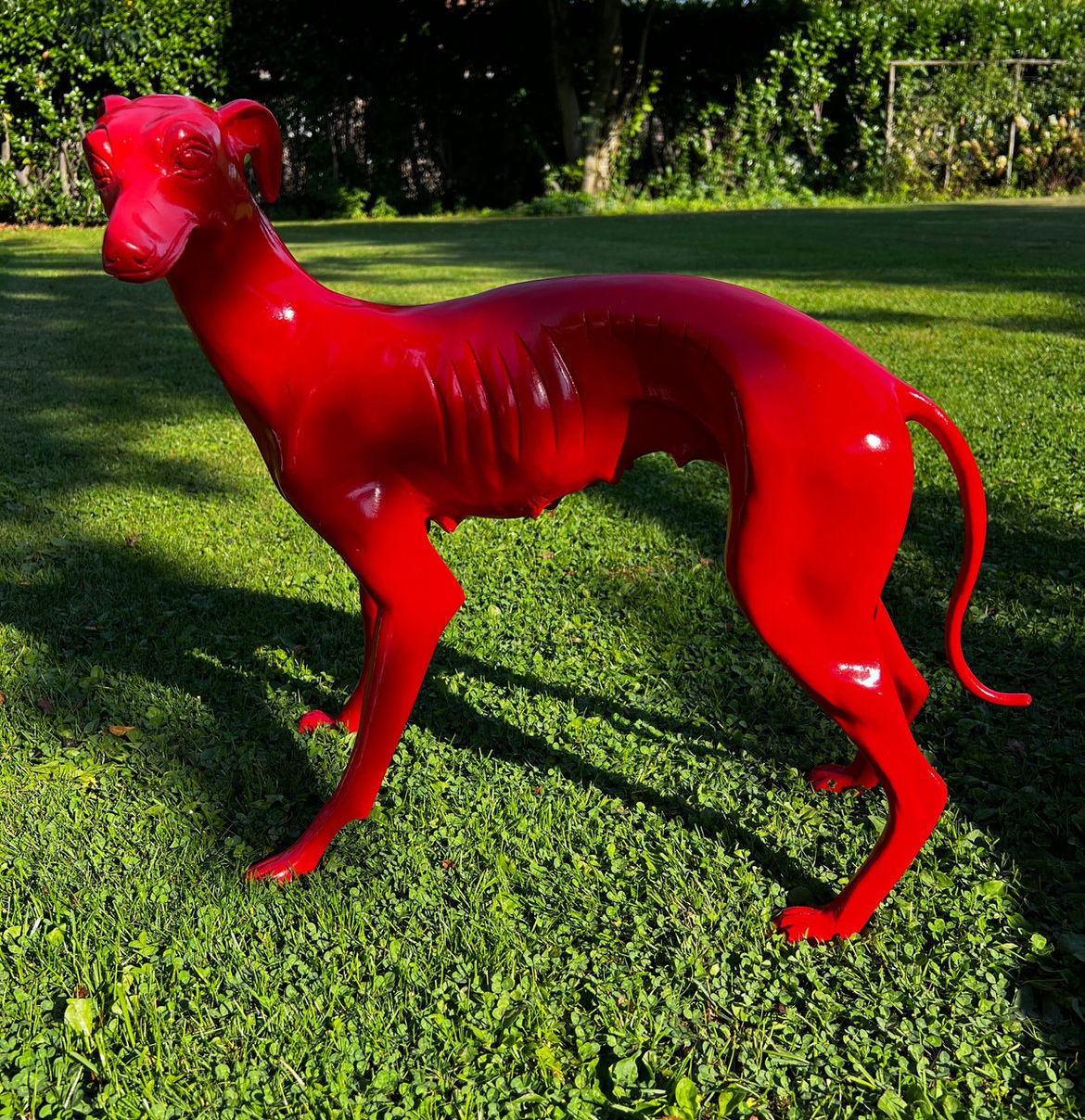 Whippet rood 50 x 55 cm