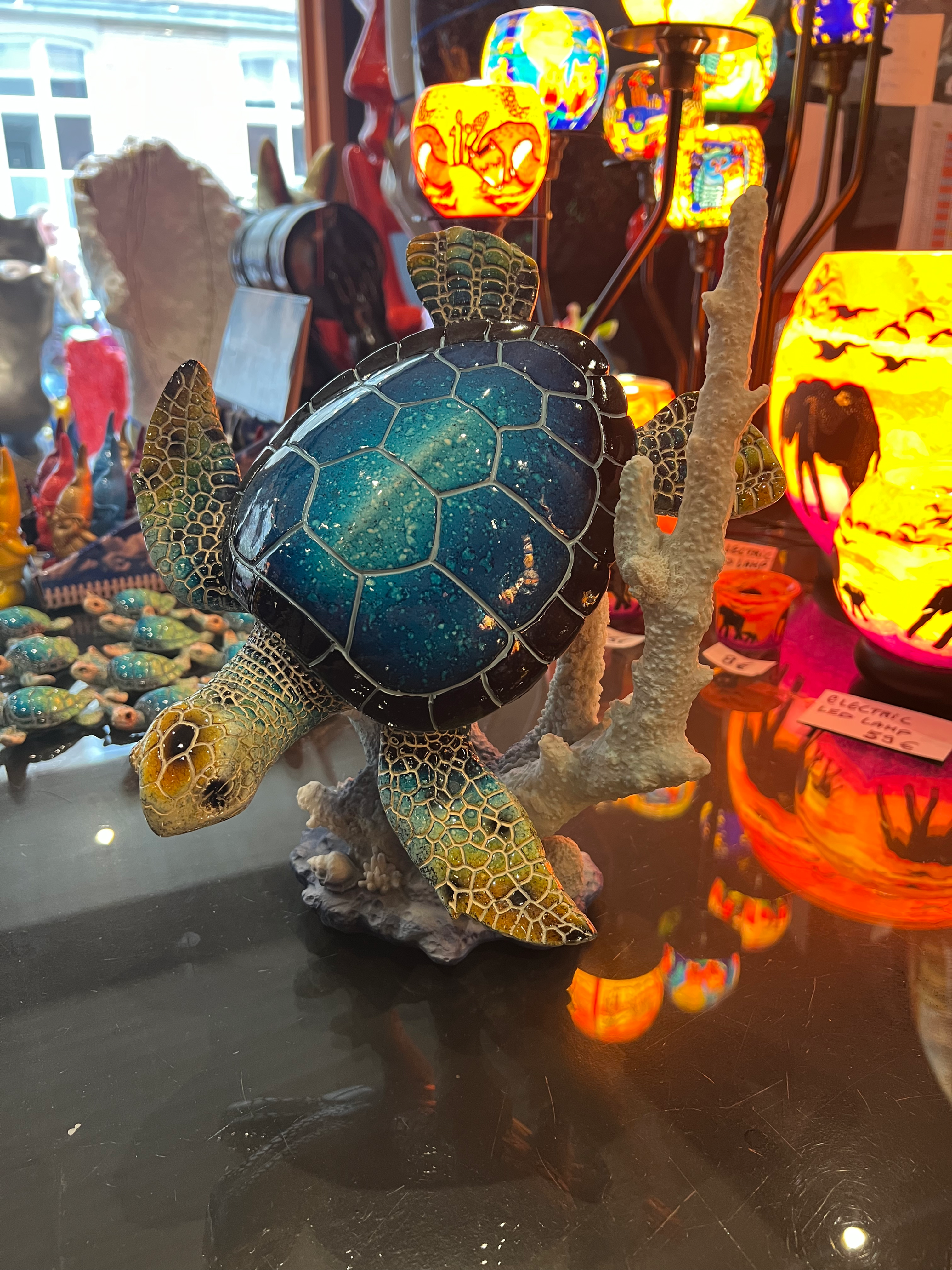 Schildpad op koraal 30 cm