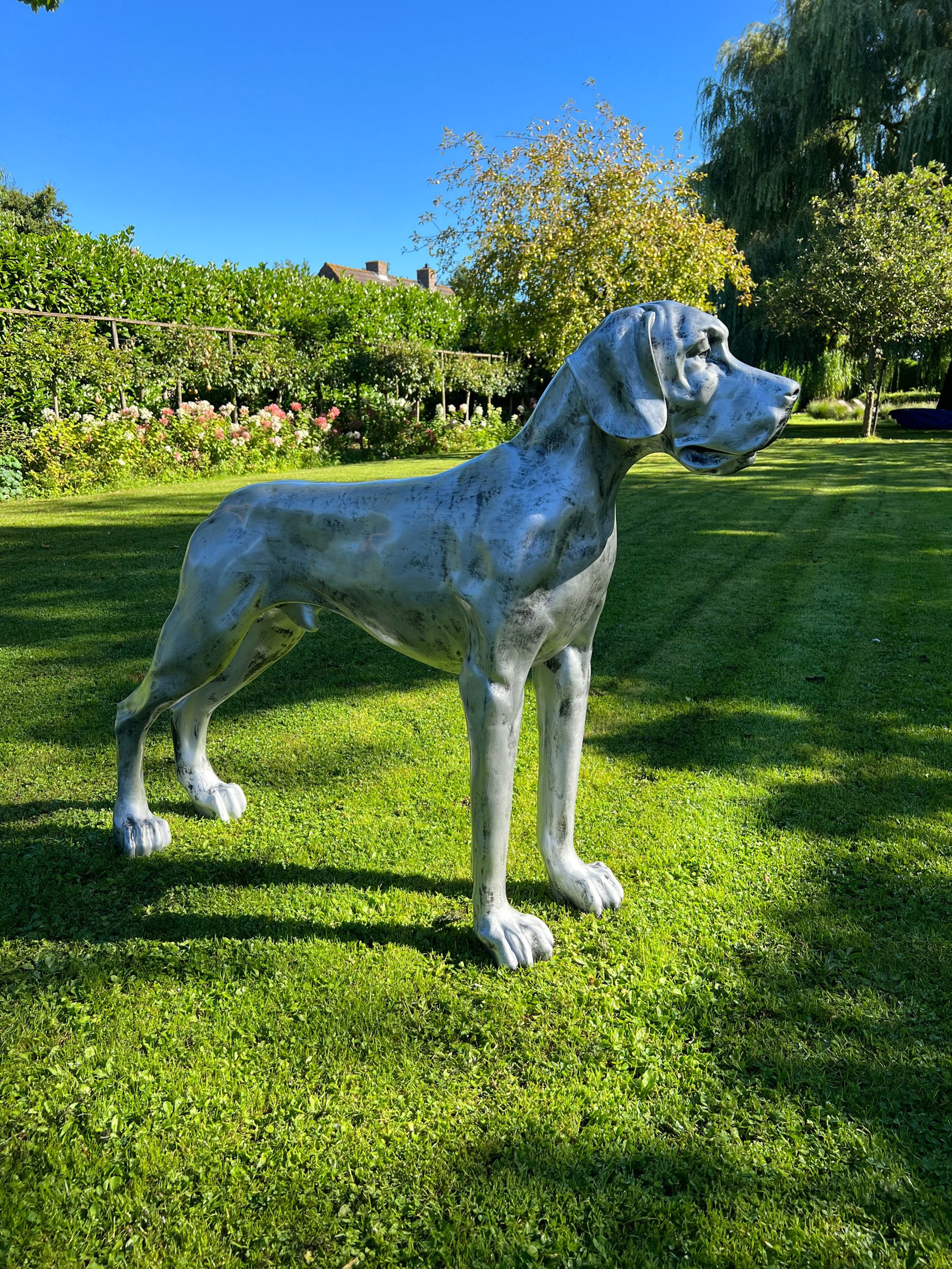 Deense dog zilver antiek 95 x 130 cm