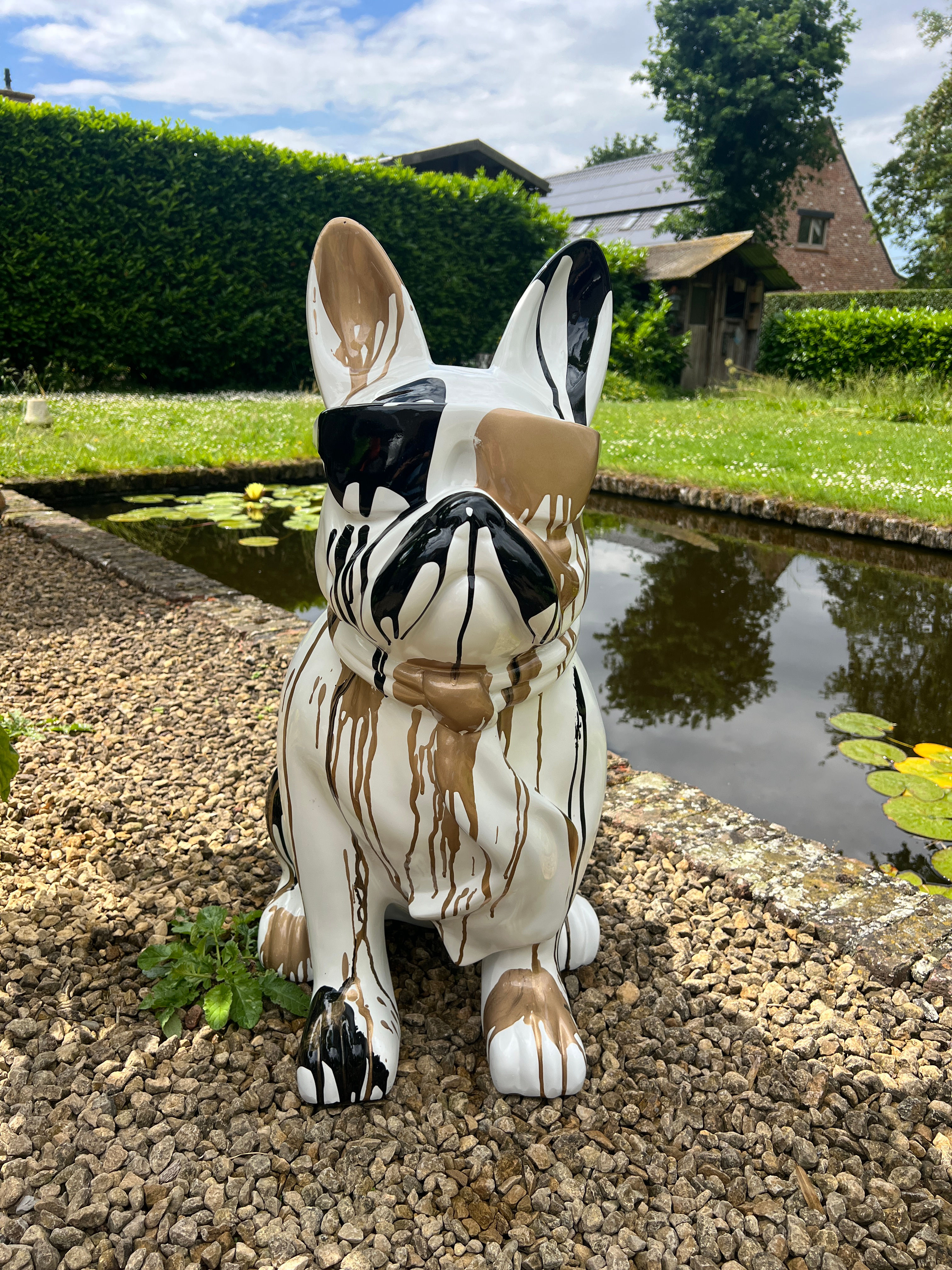 Franse Bulldog 80 cm wit druip goud/zwart