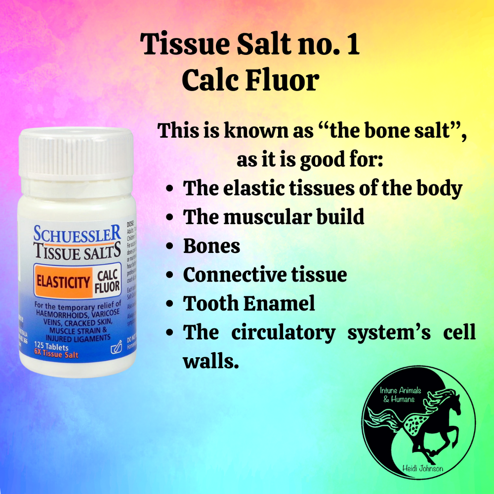 Tissue Salt no. 1 Calc Fluor (Calcarea Fluorica or Calcium Fluoride)