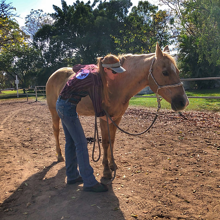 Townsville RDA horse having an EMMETT Technqiue treatment. EMMETT is a light touch neuromusclular release technique.