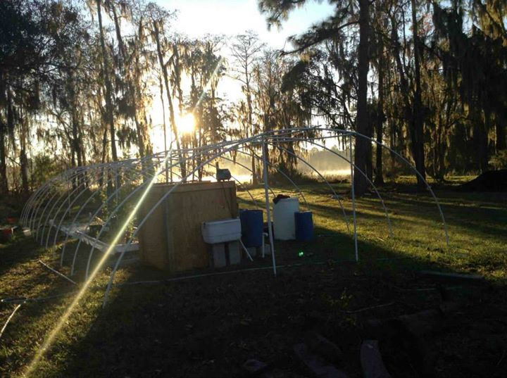 Completed Aquaponic System