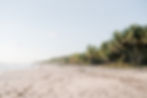 Santa Teresa beach on a sunny day with palm tress and surfers