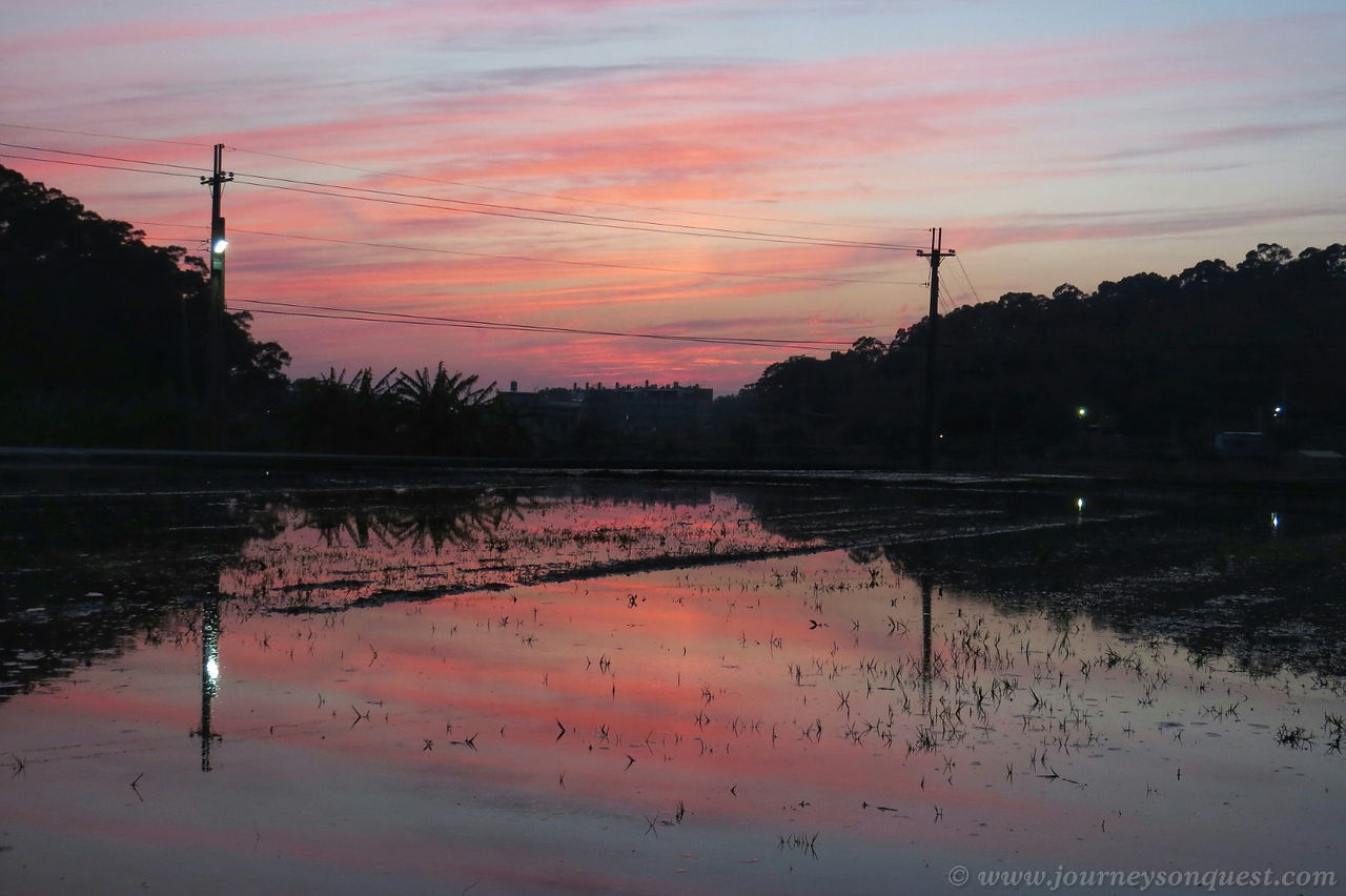 Rice paddy & pink cloud sunset