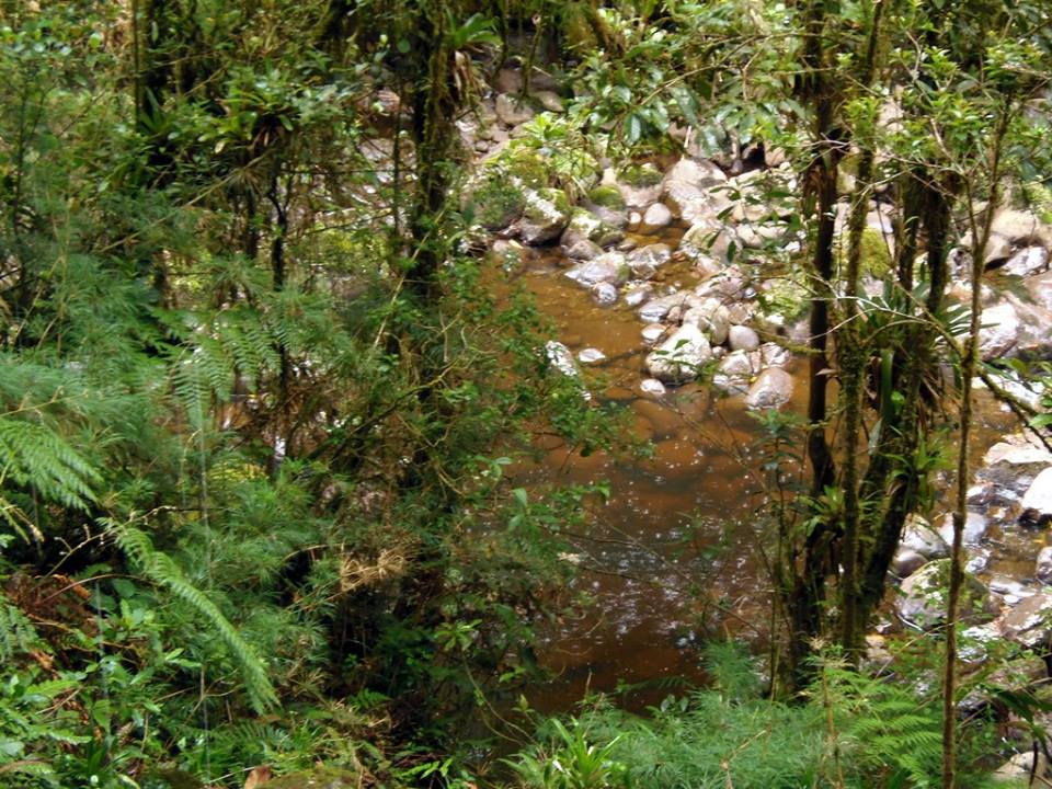 12565625_10207350038445061_7523789517288406314_n