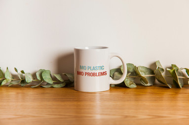econunay-mug.jpeg