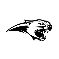 Cardinal Mooney High School