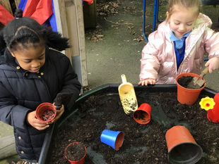 Watching Our Seeds Begin Their Journey in Nursery!
