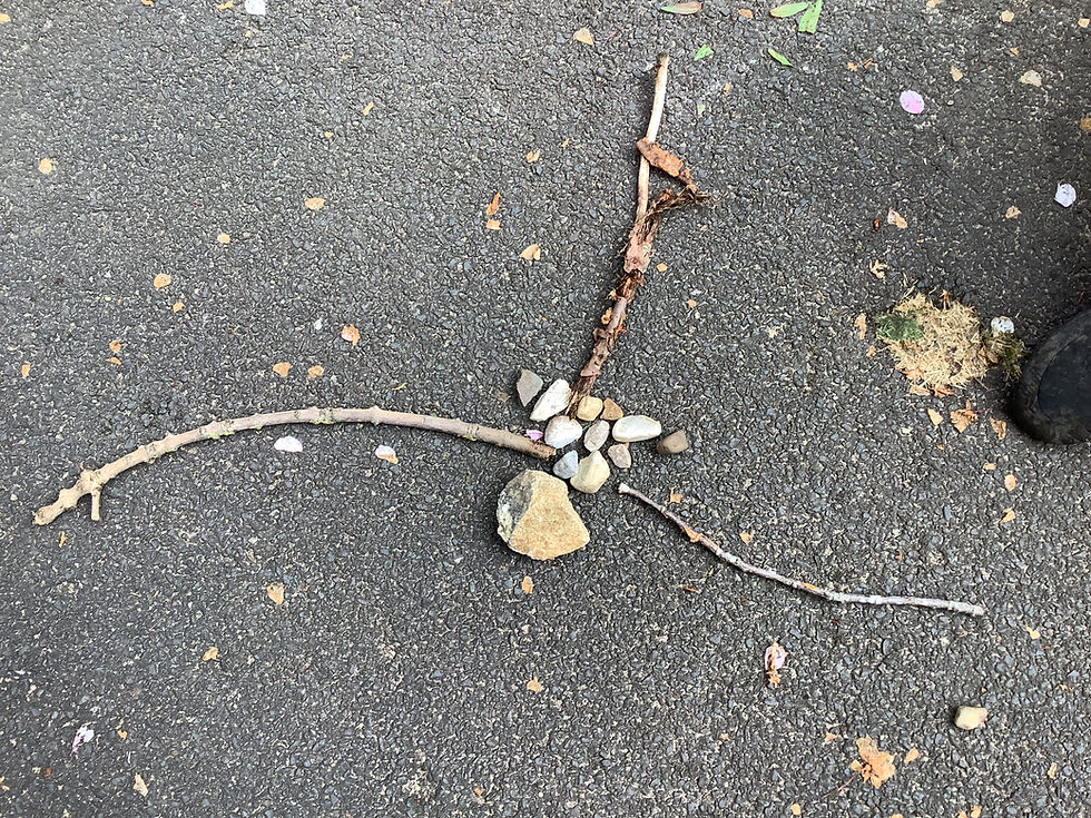 Natural Art in Reception