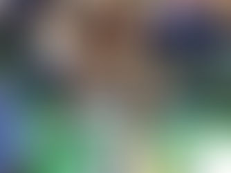 Year 1 - Clarice Cliff inspired Art