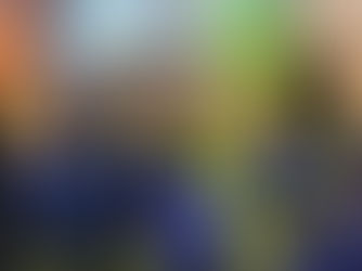 Year 6 attend Safety Works