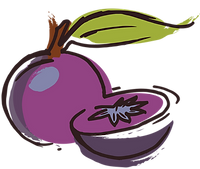Image of restaurant logo, a Purple Starapple with a cut half of a Starpple in front to show "star" shape made by the seeds.