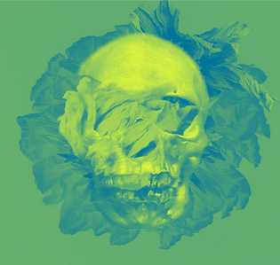 greenskull_black_edited.png