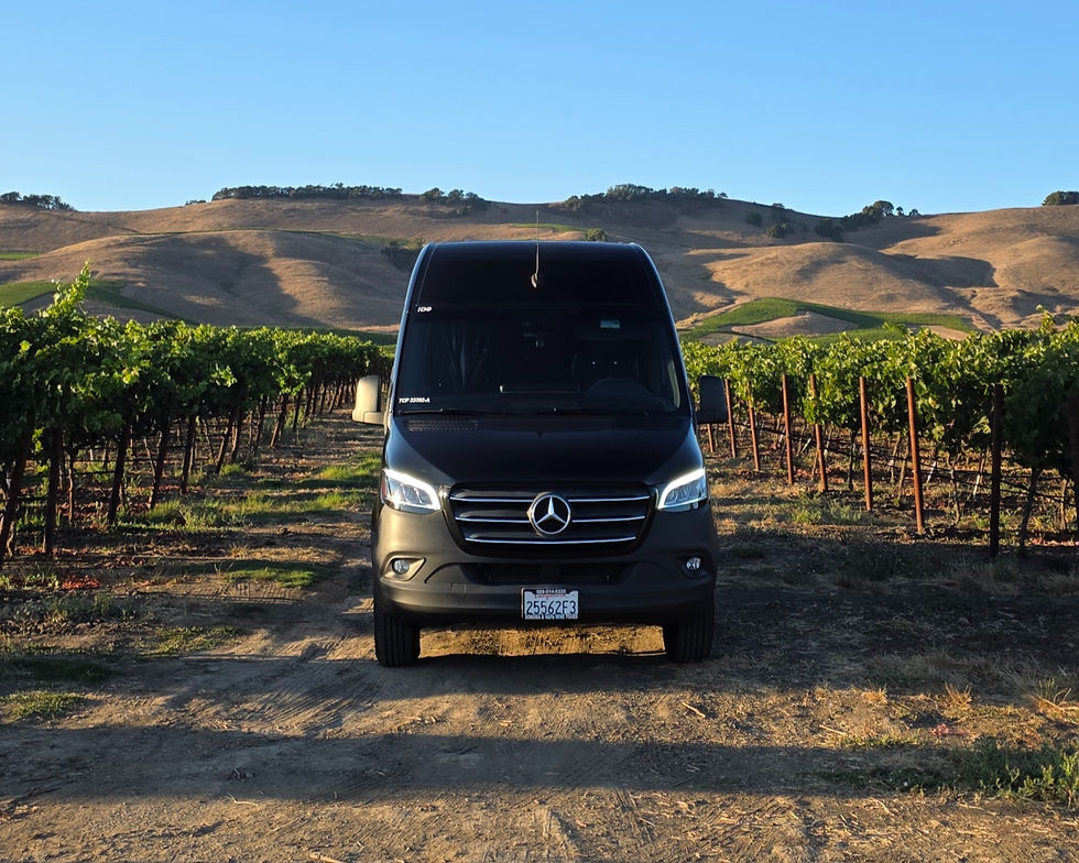 Eye-level view of a luxurious limousine parked in front of a vineyard