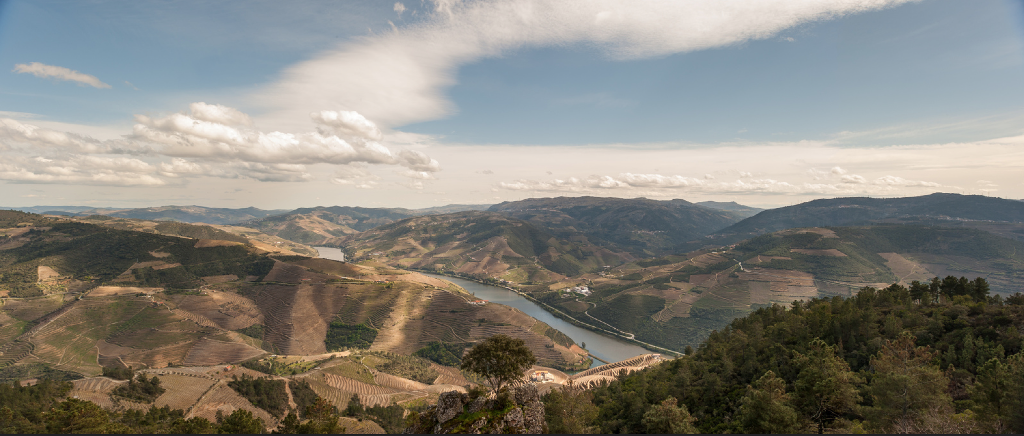 Porto - Douro