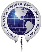 AAES logo pic