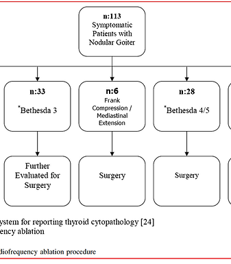 Radiofrequency Ablation of Benign Symptomatic Thyroid Nodules: Prospective Safety and Efficacy Study