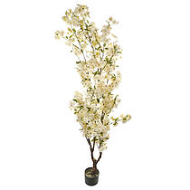 Tall blossom trees