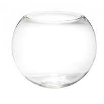 Fish Bowl