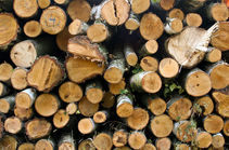 Sustainable Construction Materials