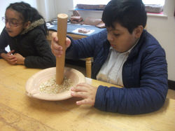 Year 5 Wroxeter Roman Site