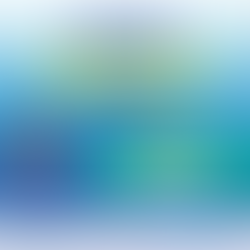 Job Opportunity - Assistant Web Developer Apprentice