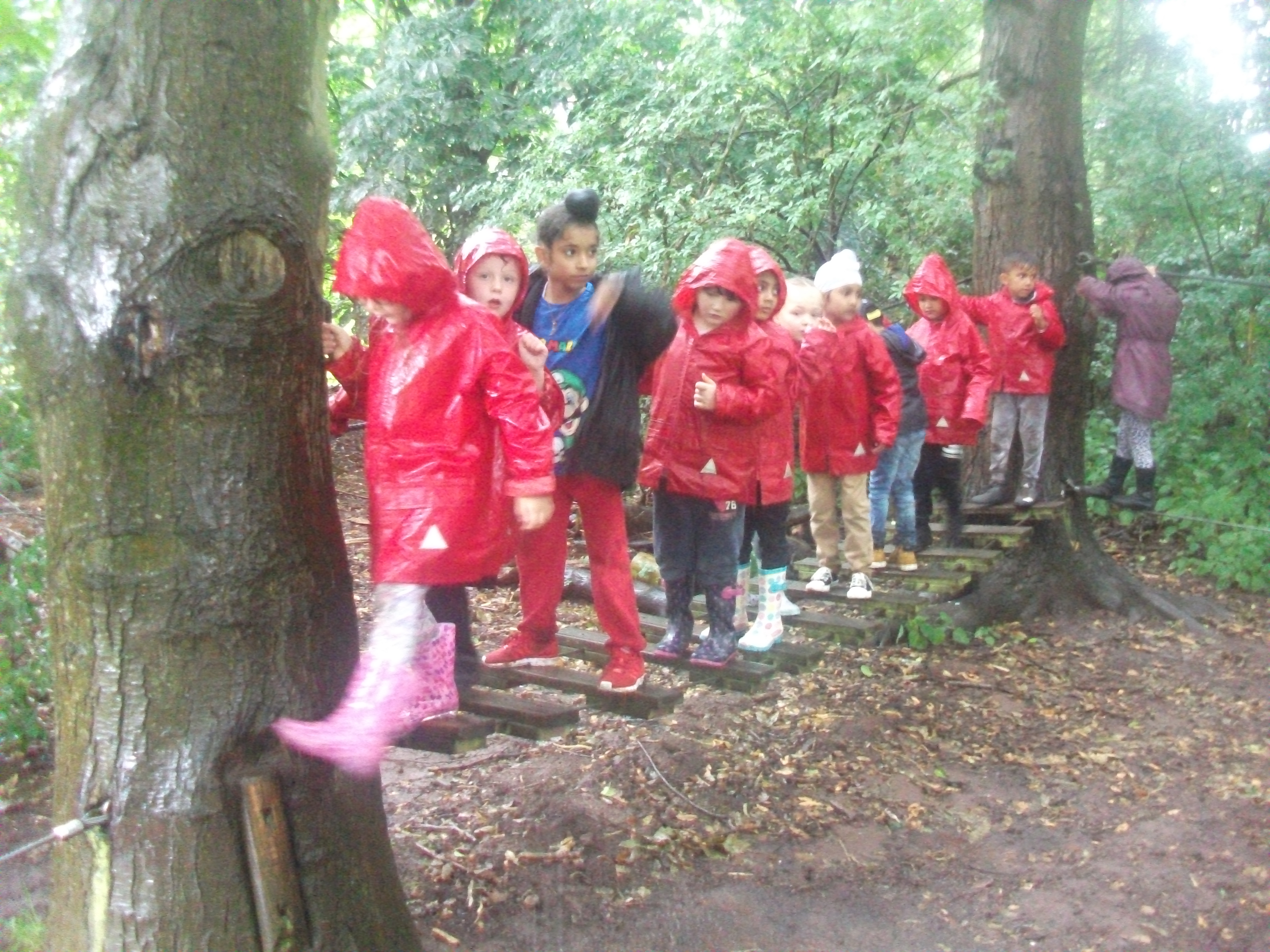 Year 1 Kingswood