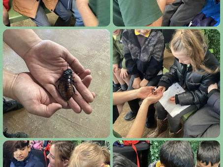 Year 1 trip to Telford Exotic Zoo