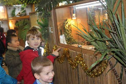 1 Vale's Trip to Hatton's Christmas Kingdom  (28)