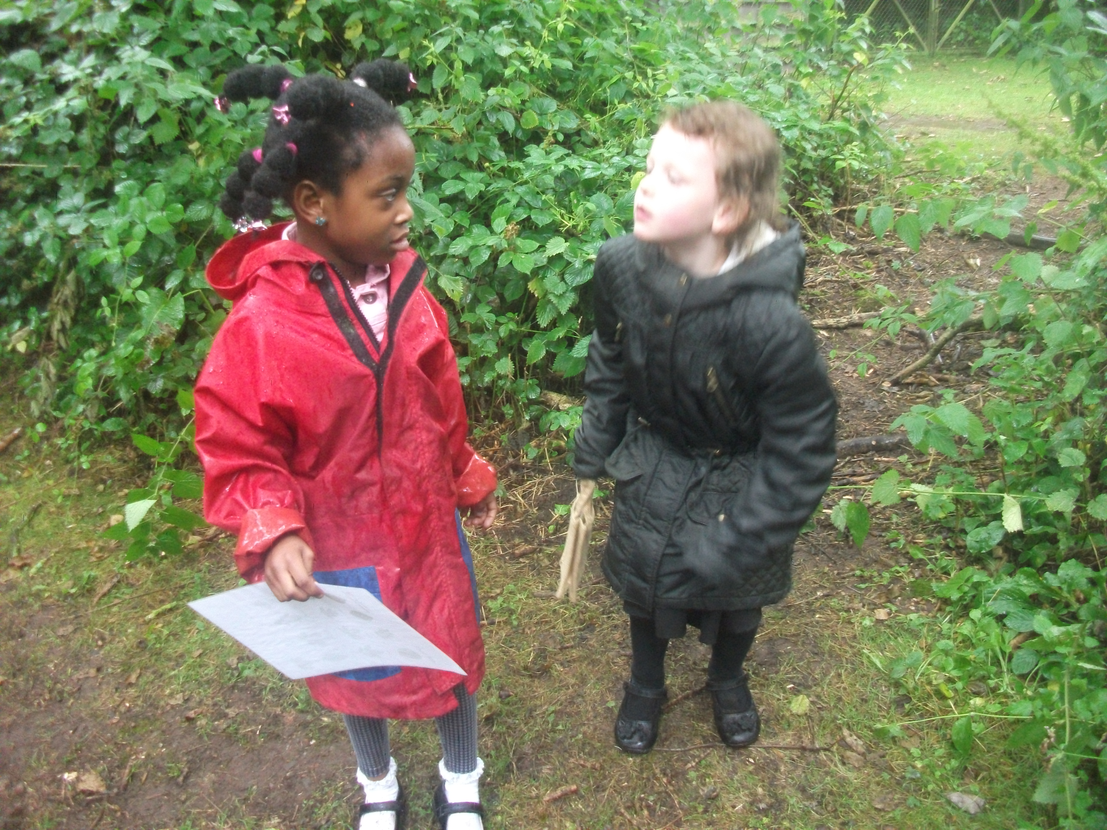 Year 1 Kingswood