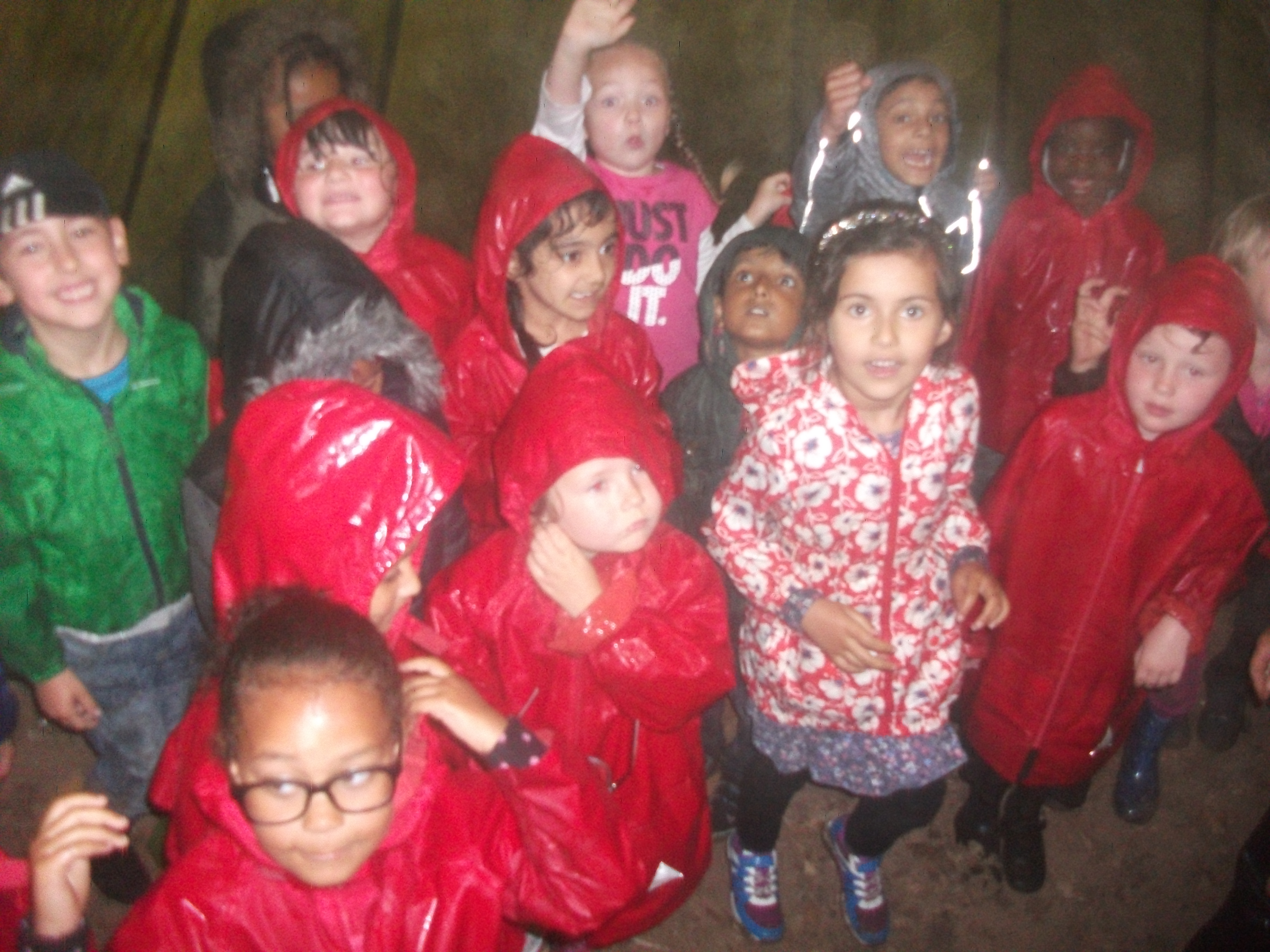 Year 1 Kingswood