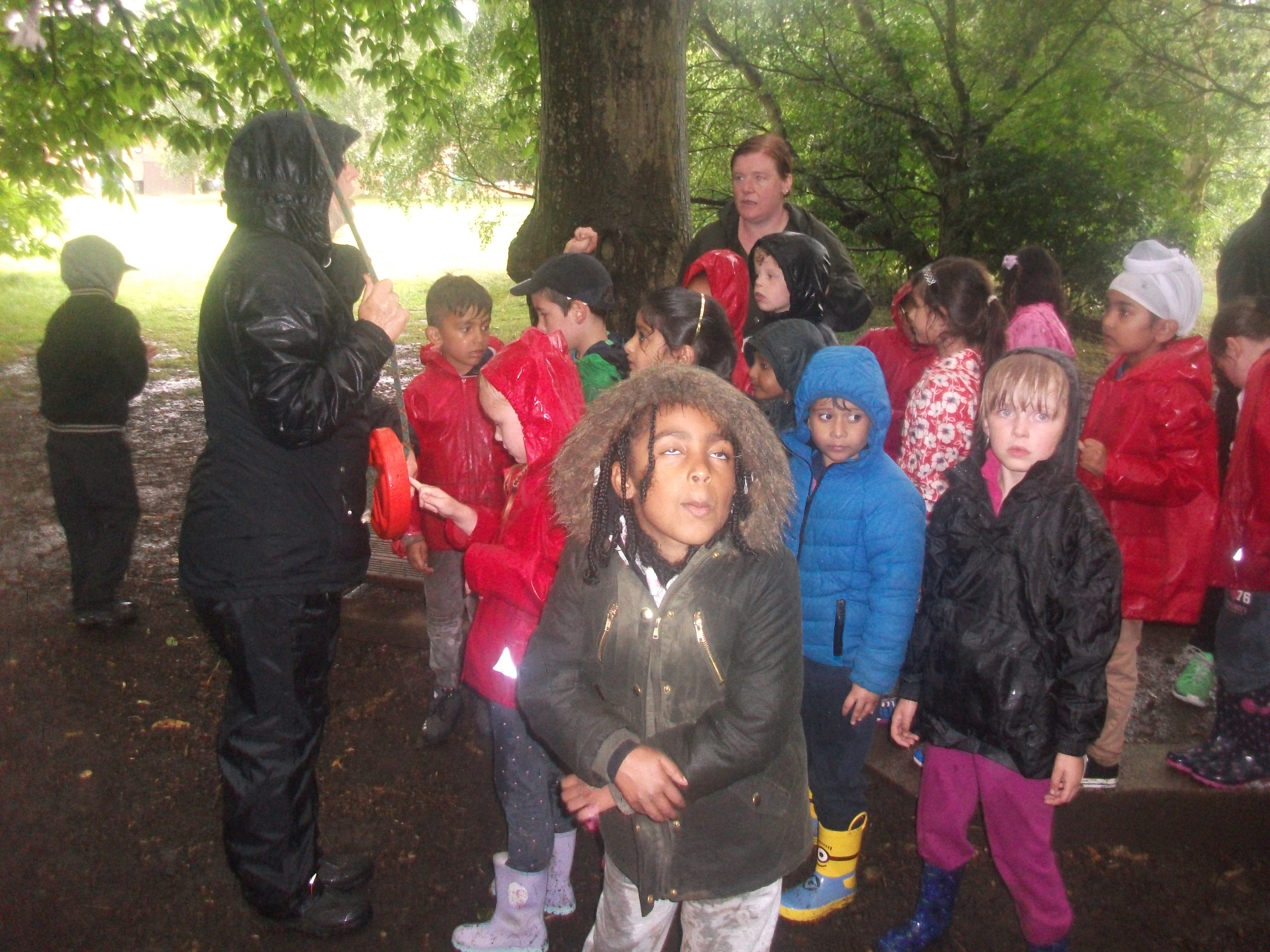 Year 1 Kingswood