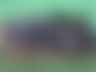 Wolverhampton Schools KS2 Gymnastics Champions!