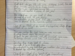 An Exploration of the Digestive System