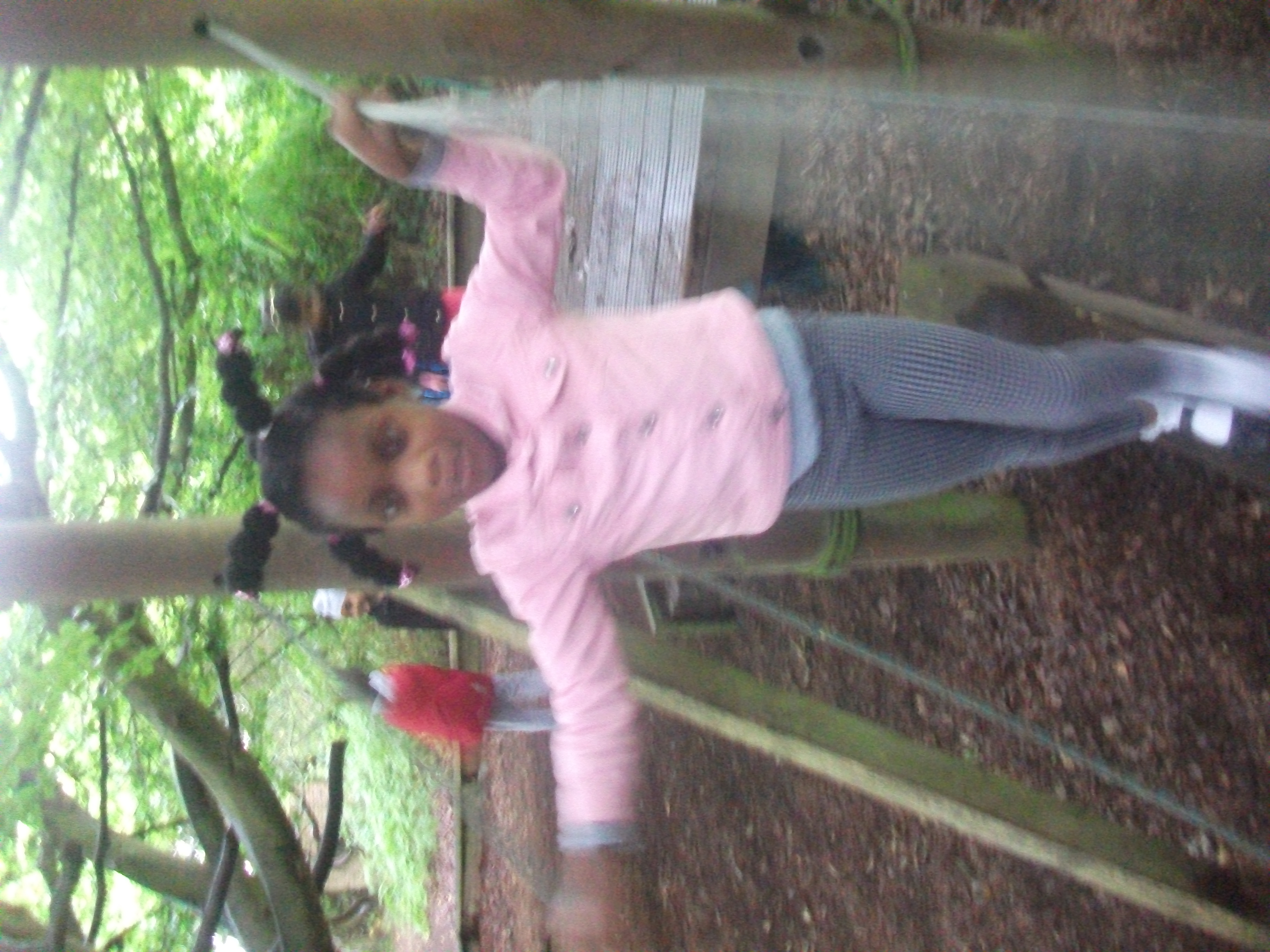 Year 1 Kingswood