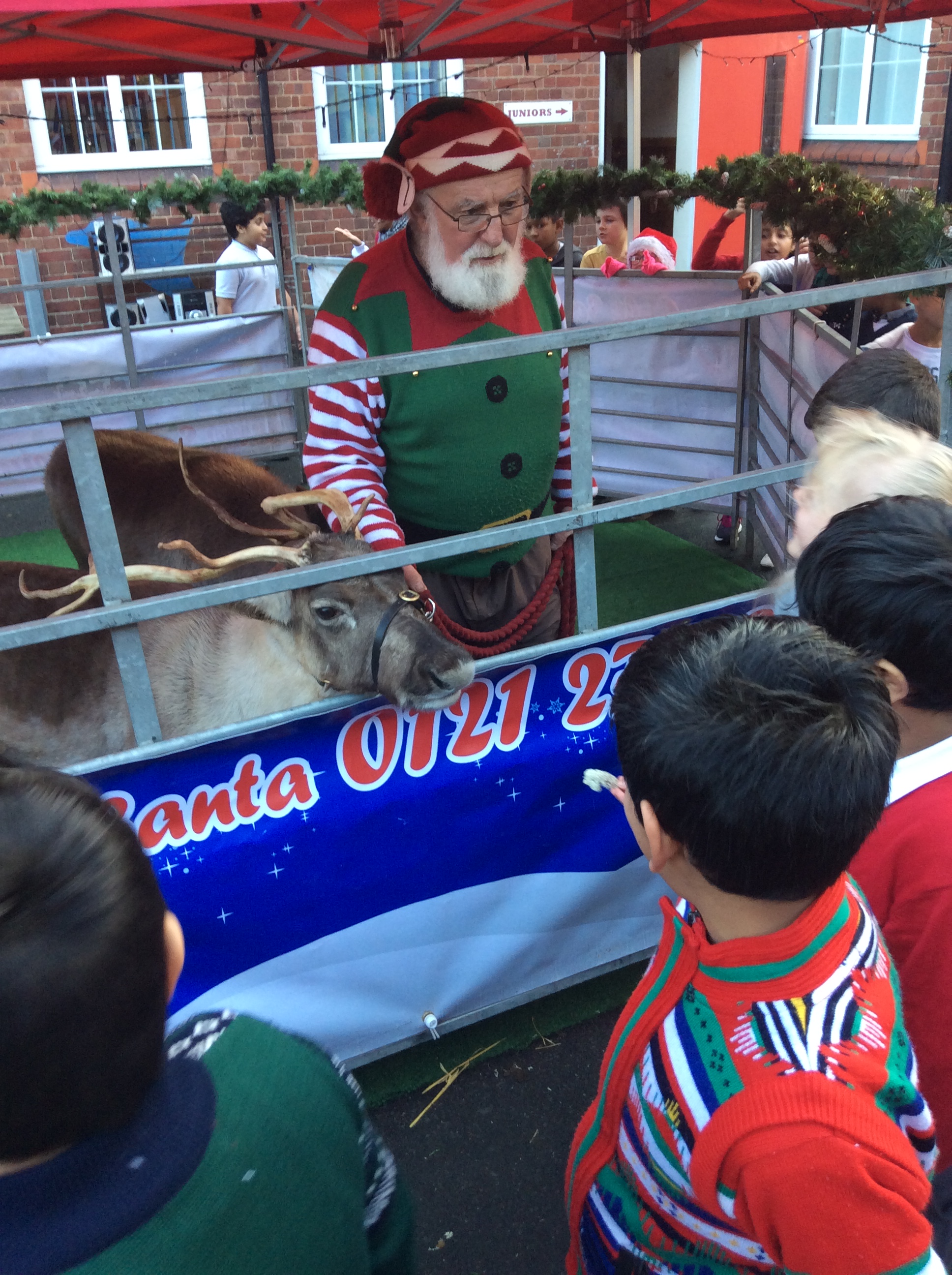Christmas Reindeer