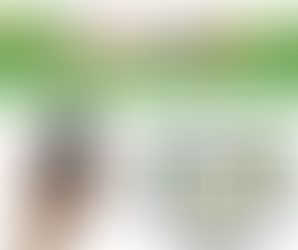 West Park Launch Twitter Page