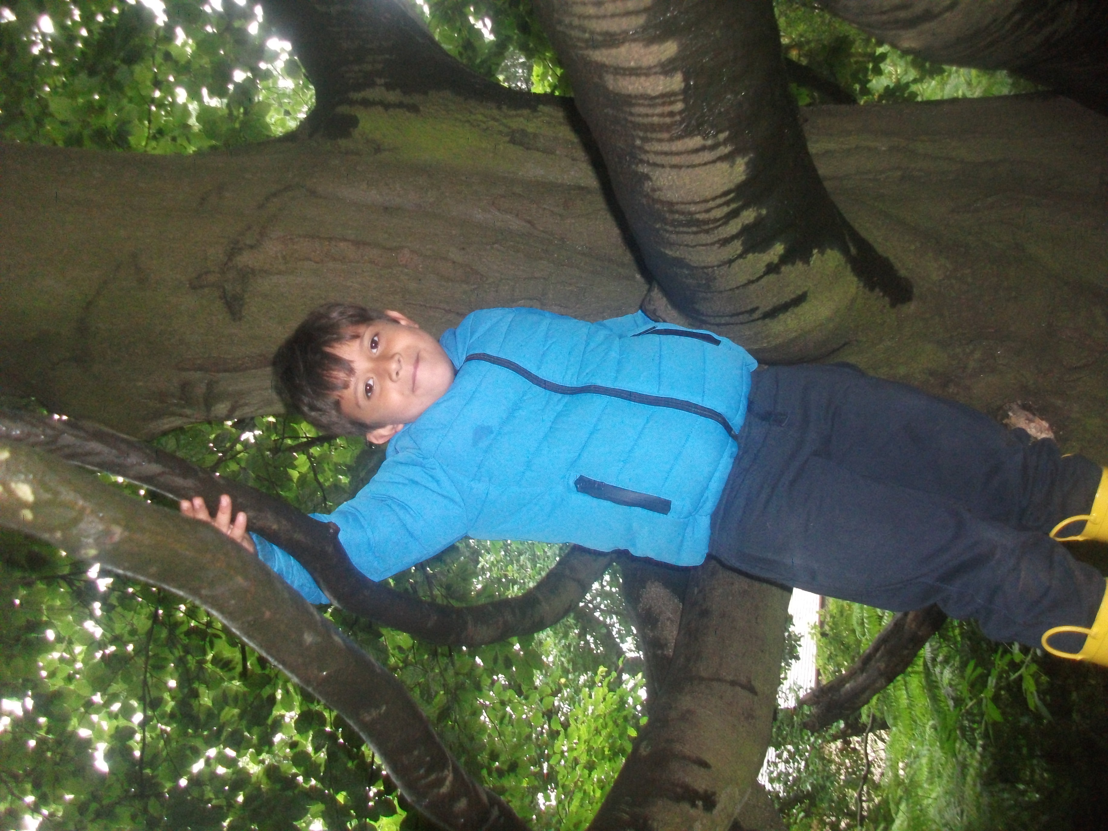 Year 1 Kingswood