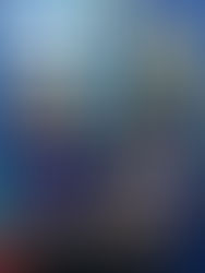 Spelling Competition