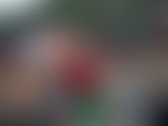 Myanmar: UN welcomes final assessment of independent advisory panel on Rakhine state