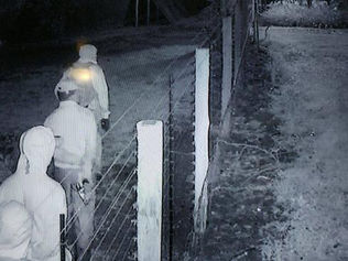 ‘Bury them alive!’: White South Africans fear for their future as horrific farm attacks escalate