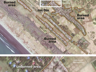 In a first, Burmese military admits that soldiers killed Rohingya found in mass grave