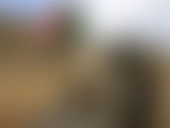 U.S. Special Envoy Donald Booth in Khartoum—and Darfur: Consequences and Responsibilities