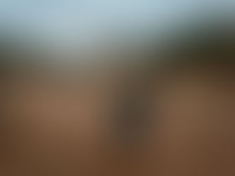 Myanmar’s Rohingya Actions May Be Genocide, U.N. Official Says