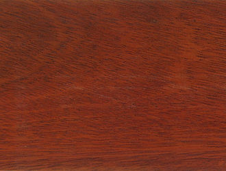 Bloodwood.jpg