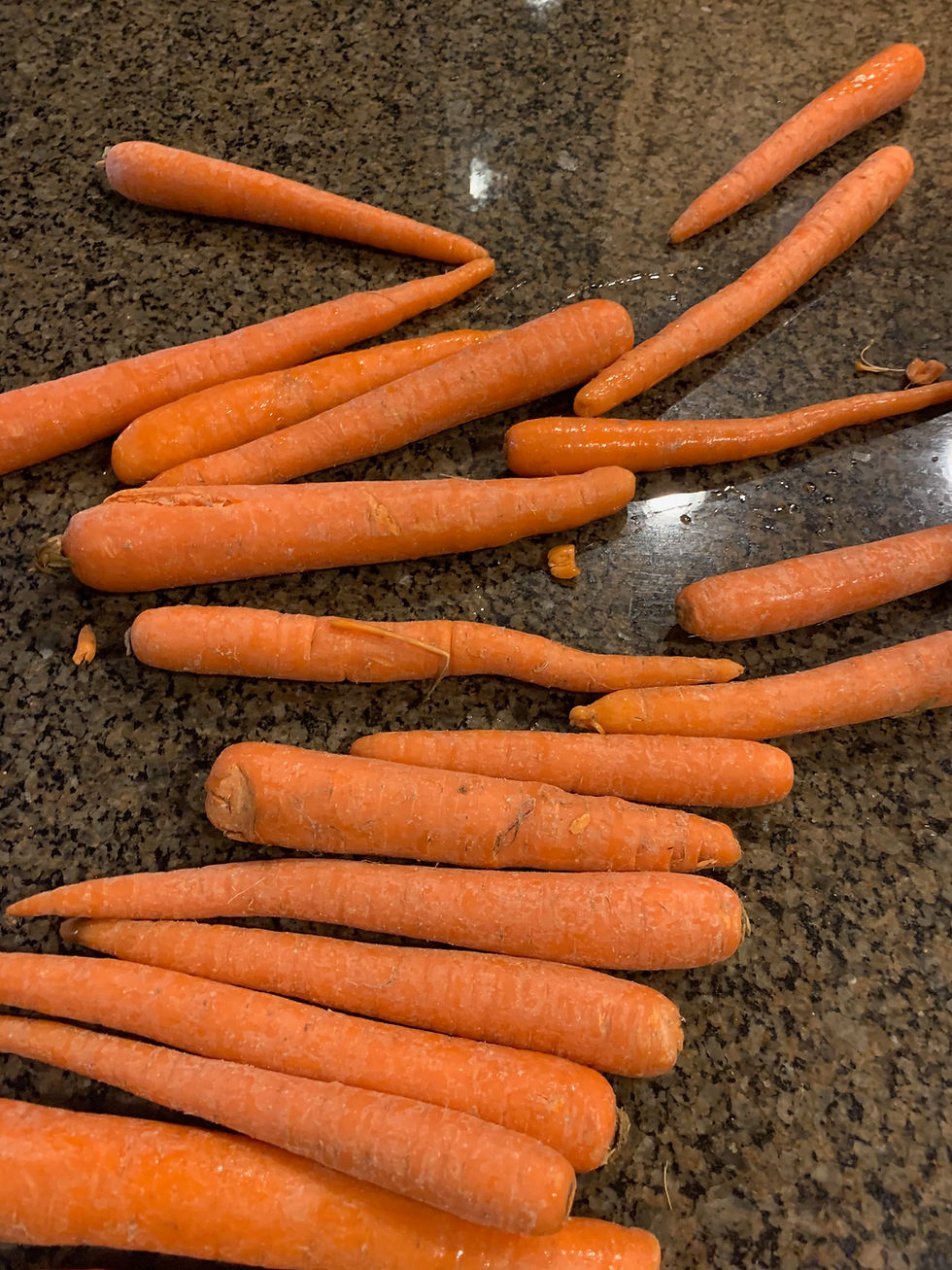 Traditional or baby - what's your pick? 