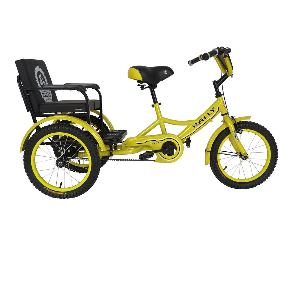 Thumbnail: Tricycle 20" with Rear Seat