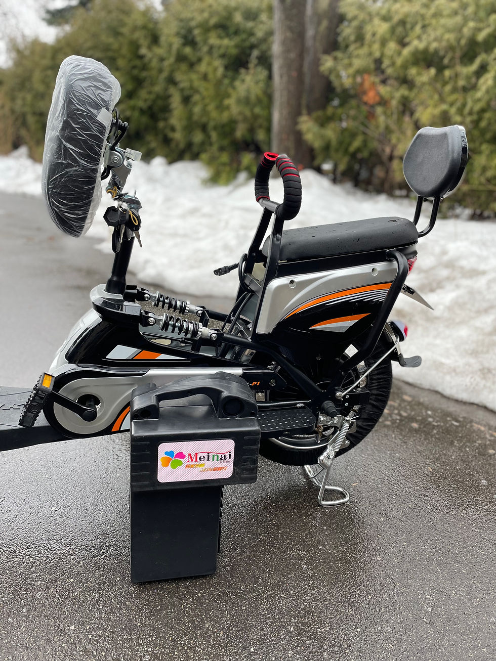 Thumbnail: Ebike with Removable Battery